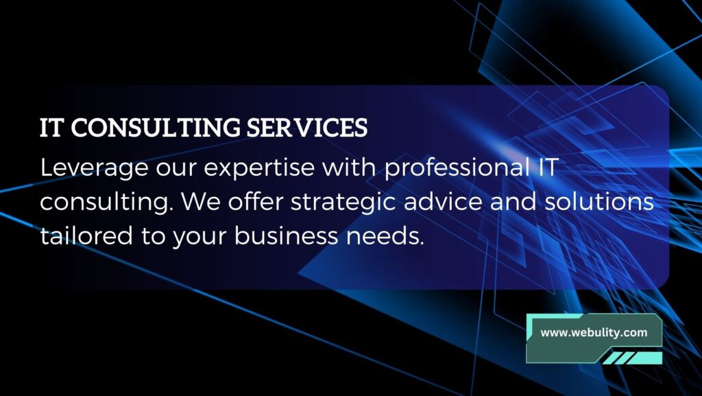 IT CONSULTING SERVICES