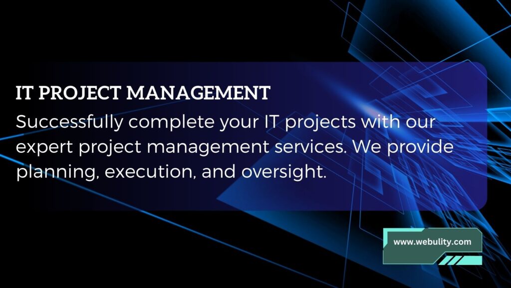 IT PROJECT MANAGEMENT