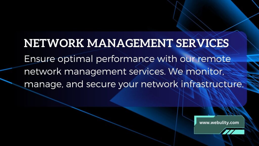 NETWORK MANAGEMENT SERVICES